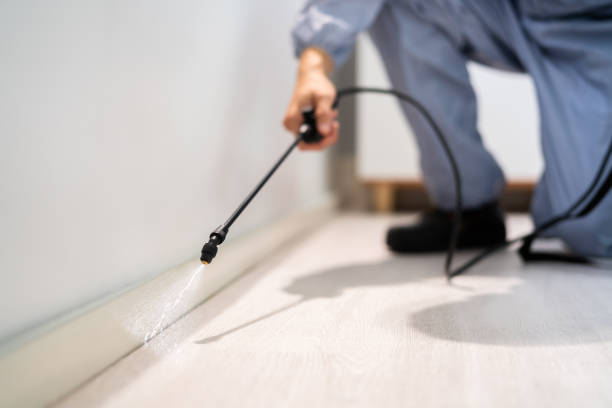 Licensed Mosquito Control service in Hinesville, GA - Show Me Pest Control