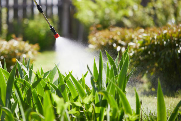24/7 Emergency Mosquito Control experts in Hinesville, GA