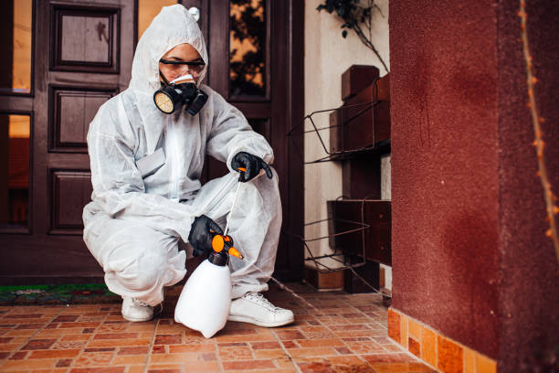 Reliable Mosquito Control contractor in Hinesville, GA by Show Me Pest Control